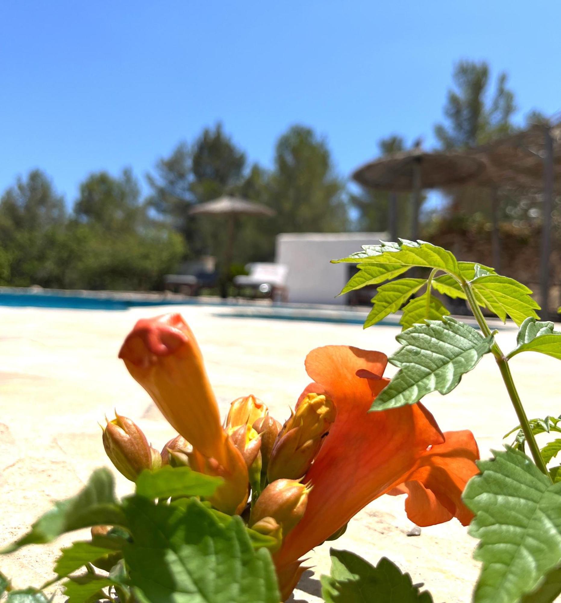Villa Can Mestreso Suite Ibiza Sant Joan De Labritja Exterior foto