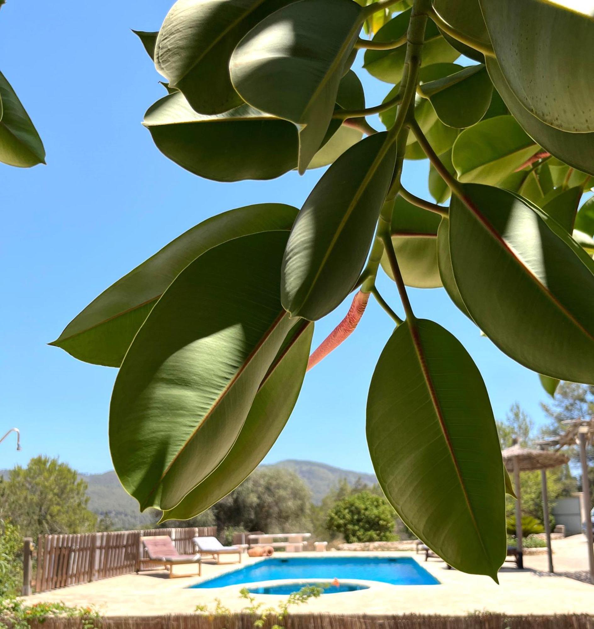 Villa Can Mestreso Suite Ibiza Sant Joan De Labritja Exterior foto